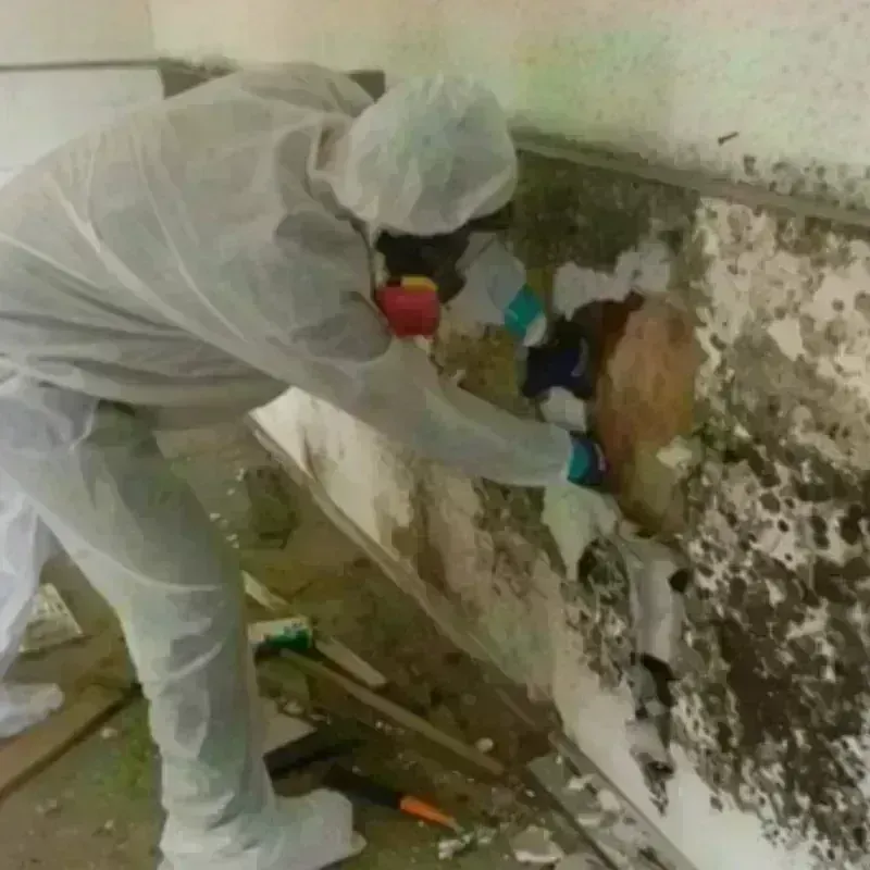 Mold Remediation and Removal in Lagrange, IN