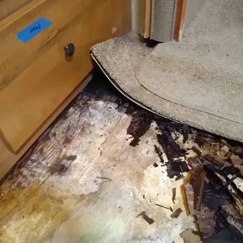 Best Wood Floor Water Damage Service in Lagrange, IN